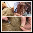 Immagine 6 azienda CENTRO DE FABRITIIS Shopping e acquisti in Latina