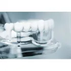 Immagine 8 azienda CENTRO DENTALE SASSOLESE Salute in Sassuolo MO