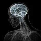 Immagine 1 azienda CENTRO DI DIAGNOSTICA PER IMMAGINI Salute in Galatone LE
