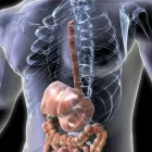 Immagine 2 azienda CENTRO DI DIAGNOSTICA PER IMMAGINI Salute in Galatone LE