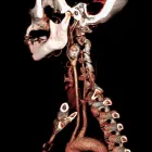 Immagine 4 azienda CENTRO DI DIAGNOSTICA PER IMMAGINI Salute in Galatone LE