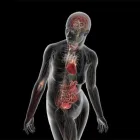 Immagine 6 azienda CENTRO DI DIAGNOSTICA PER IMMAGINI Salute in Galatone LE
