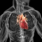 Immagine 7 azienda CENTRO DI DIAGNOSTICA PER IMMAGINI Salute in Galatone LE