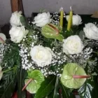 Immagine 7 azienda CENTRO FIORI GIUFFRIDA INTERFLORA Shopping e acquisti in Catania