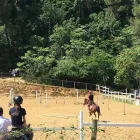 Immagine 1 azienda CENTRO IPPICO MANEGGIO VALLE DEL LUPO Tavola calda in San Giovanni Teatino CH