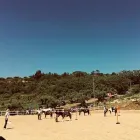 Immagine 3 azienda CENTRO IPPICO MANEGGIO VALLE DEL LUPO Tavola calda in San Giovanni Teatino CH