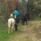 Immagine 7 azienda CENTRO IPPICO MANEGGIO VALLE DEL LUPO Tavola calda in San Giovanni Teatino CH
