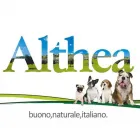 Immagine 4 azienda CENTRO LEGNO DI LORENZO SRL Shopping e acquisti in Fossacesia CH