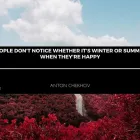 Immagine 1 azienda CENTRO LINGUE DI BUSTO ARSIZIO Scuola di lingue in Busto Arsizio VA