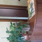 Immagine 1 azienda CENTRO MEDICO FISIOTERAPICO LA MADONNINA Salute in Malnate VA