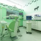 Immagine 13 azienda CENTRO ODONTOIATRICO DENTAL FAMILY Salute in Fabriano AN