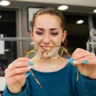 Immagine 4 azienda CENTRO OTTICO TRONCA Shopping e acquisti in Creazzo VI