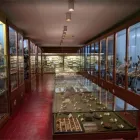 Immagine 1 azienda CENTRO SCIENZE NATURALI FONDAZIONE PARSEC Musei in Prato