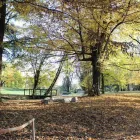 Immagine 1 azienda CENTRO SERVIZI PER ANZIANI VILLA IMPERIALE - COOPSELIOS Servizi professionali in Galliera Veneta PD