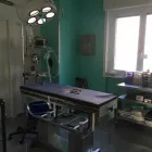 Immagine 3 azienda CENTRO VETERINARIO IVET TEAM Veterinario in Napoli