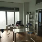 Immagine 5 azienda CENTRO VETERINARIO IVET TEAM Veterinario in Napoli