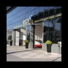 Immagine 3 azienda CERVIA GOMME Veicoli in Cervia RA