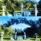 Immagine 4 azienda CHIARA D'ANTIOCHIA ALLESTIMENTI FLOREALI Vivaio in Siracusa