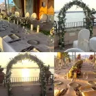 Immagine 7 azienda CHIARA D'ANTIOCHIA ALLESTIMENTI FLOREALI Vivaio in Siracusa