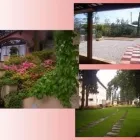 Immagine 1 azienda CIANDRI EUGENIO GIARDINAGGIO Vivaio in Pisa
