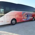 Immagine 2 azienda CICCIMARRA CARLO E FIGLI SRL Viaggi e turismo in Bari