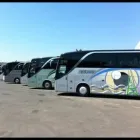 Immagine 6 azienda CICCIMARRA CARLO E FIGLI SRL Viaggi e turismo in Bari