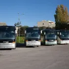 Immagine 21 azienda CICCIMARRA CARLO E FIGLI SRL Viaggi e turismo in Bari