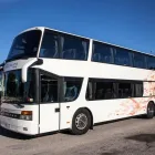 Immagine 22 azienda CICCIMARRA CARLO E FIGLI SRL Viaggi e turismo in Bari