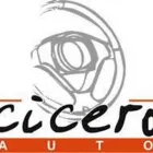 Immagine 1 azienda CICERO AUTO Veicoli in Rosolini SR