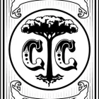 Immagine 1 azienda CICLI CALISTI Veicoli in Ravenna