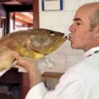 Immagine 2 azienda CIGNO FREGENE Tavola calda in Fregene Rm