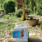 Immagine 7 azienda CIMITERO E CREMAZIONI PER ANIMALI IL RIPOSO DI SNOOPY Shopping e acquisti in Qualiano NA