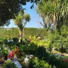 Immagine 9 azienda CIMITERO E CREMAZIONI PER ANIMALI IL RIPOSO DI SNOOPY Shopping e acquisti in Qualiano NA