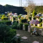 Immagine 10 azienda CIMITERO E CREMAZIONI PER ANIMALI IL RIPOSO DI SNOOPY Shopping e acquisti in Qualiano NA