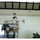 Immagine 4 azienda CINACCHI IMPRESA DI PULIZIA Servizi professionali in Pisa