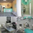 Immagine 1 azienda CLINICA VETERINARIA CROCE AZZURRA Veterinario in Varese