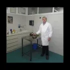 Immagine 2 azienda CLINICA VETERINARIA GALLARATE FERRE' Veterinario in Gallarate VA