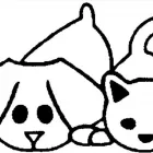 Immagine 3 azienda CLINICA VETERINARIA GALLARATE FERRE' Veterinario in Gallarate VA