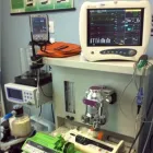 Immagine 2 azienda CLINICA VETERINARIA GHIAROLA Veterinario in Formigine MO