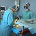 Immagine 3 azienda CLINICA VETERINARIA GHIAROLA Veterinario in Formigine MO