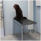 Immagine 4 azienda CLINICA VETERINARIA GHIAROLA Veterinario in Formigine MO