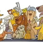 Immagine 1 azienda CLINICA VETERINARIA MEDAGLIE D'ORO Veterinario in Roma