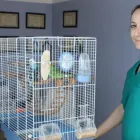 Immagine 6 azienda CLINICA VETERINARIA PARCO DI MONZA Veterinario in Villasanta MB