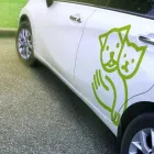 Immagine 2 azienda CLINICA VETERINARIA PIVA DR. GIULIANO Veterinario in Sassuolo MO