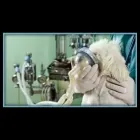 Immagine 2 azienda CLIVET AMBULATORIO VETERINARIO VOMERO Veterinario in Napoli