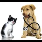 Immagine 3 azienda CLIVET AMBULATORIO VETERINARIO VOMERO Veterinario in Napoli