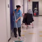 Immagine 3 azienda COLAS PULIZIE LOCALI Servizi professionali in Ravenna