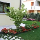 Immagine 1 azienda COLAZZO SERVICE Shopping e acquisti in Galatone LE