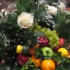Immagine 3 azienda COLIFIORI AGRICOLI AZIENDA AGRICOLA Shopping e acquisti in San Giuliano Terme PI