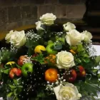 Immagine 6 azienda COLIFIORI AGRICOLI AZIENDA AGRICOLA Shopping e acquisti in San Giuliano Terme PI